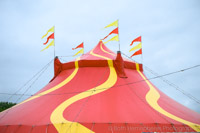 2024-06-24 10-40-18 Glasto TandC 2024