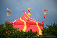 2024-06-25 15-49-22 Glasto TandC 2024