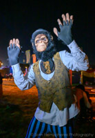 2024-06-28 23-35-42 Glasto TandC 2024