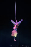 2024-06-29 14-36-51 Glasto TandC 2024-4