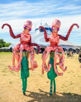 2024-06-29 15-06-22 Glasto TandC 2024