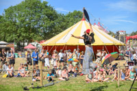 2024-06-29 15-46-33 Glasto TandC 2024